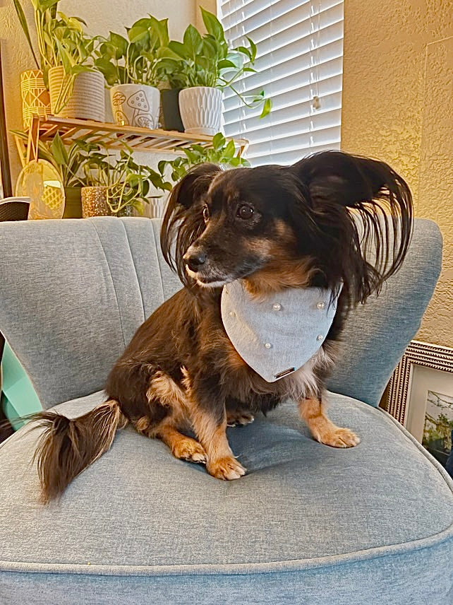 MUTT-terial Girl – Pearl Embellished Denim Dog Bandana