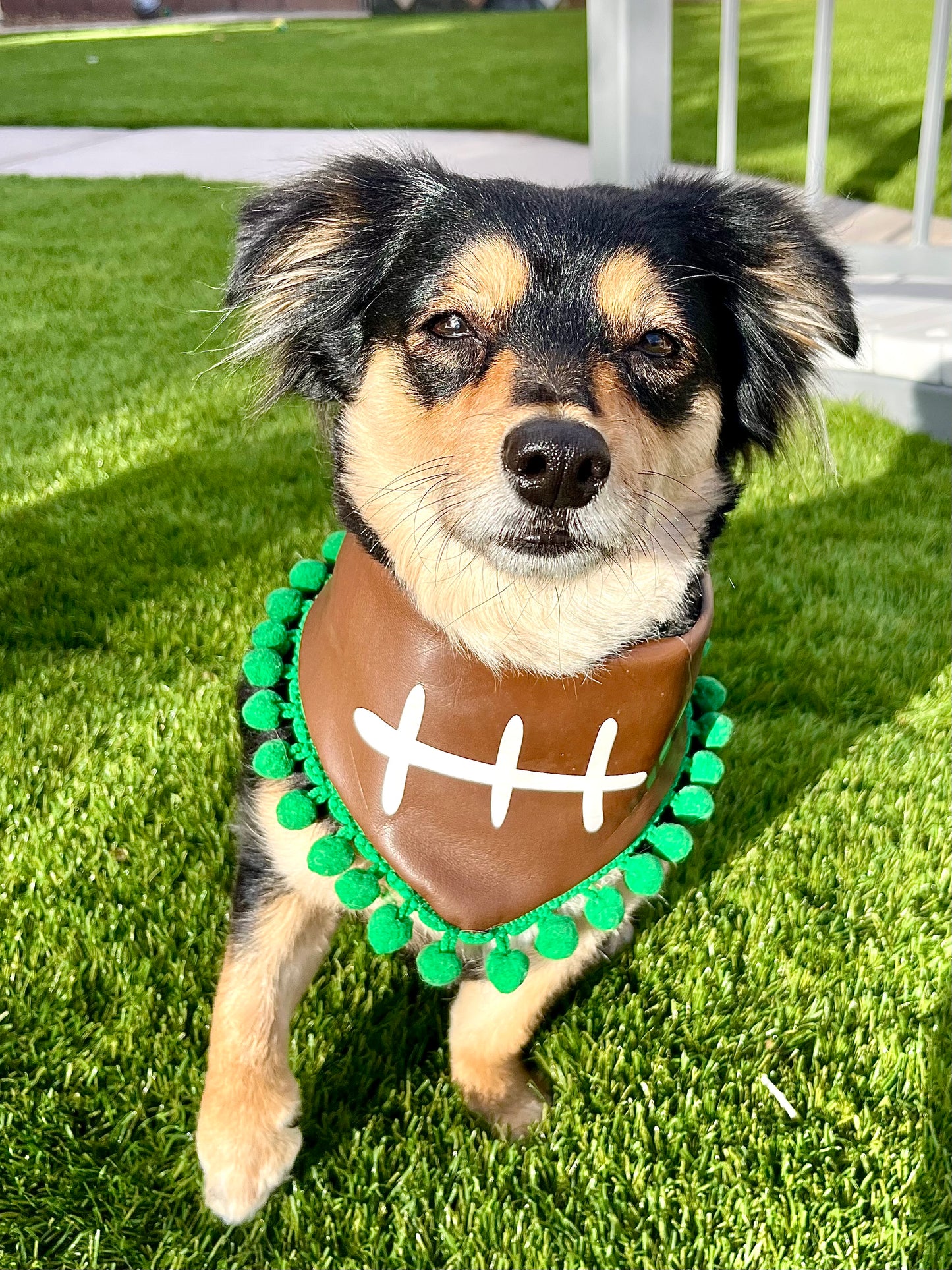 Tailgating Cutie | Bandana