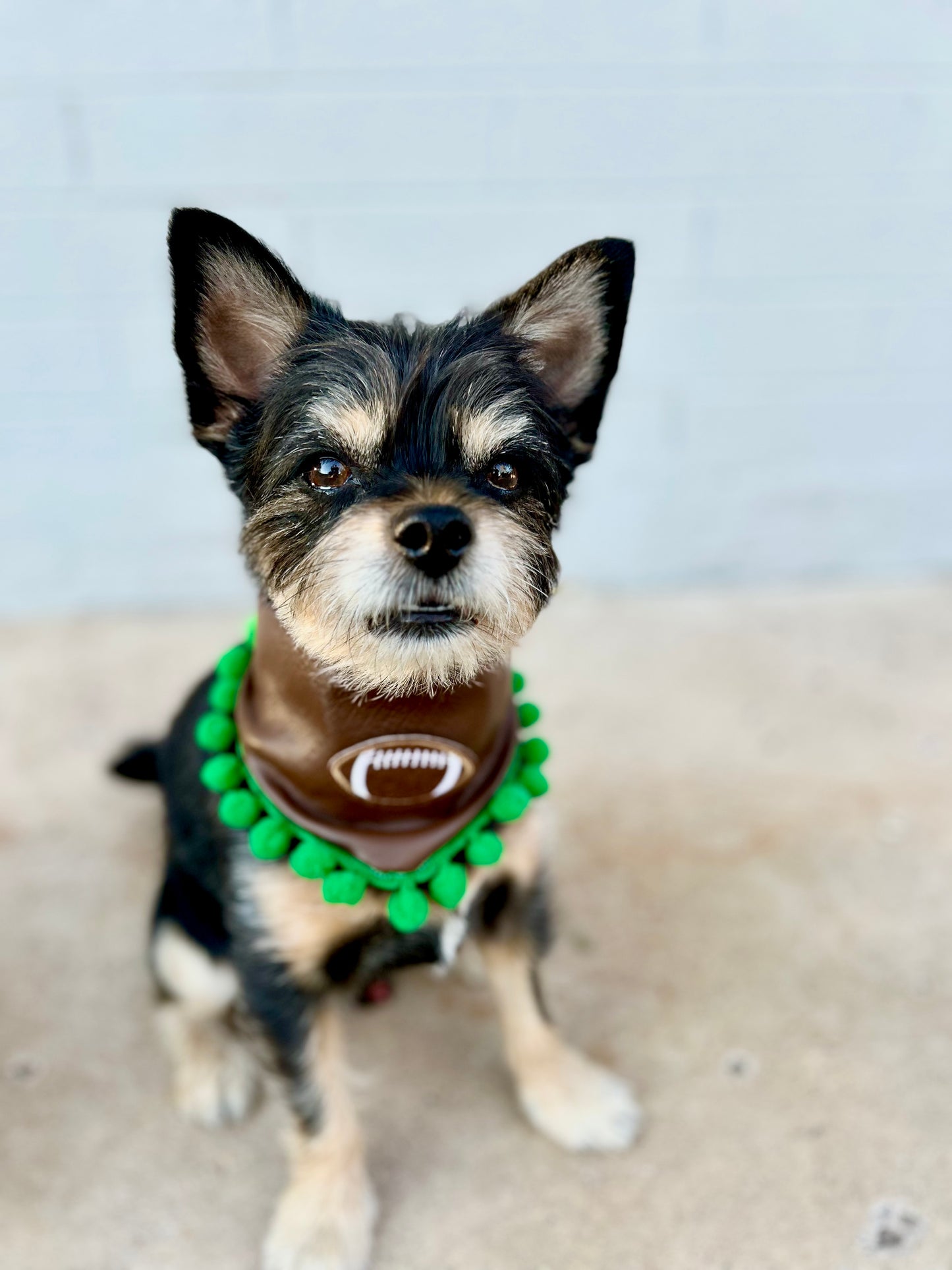 Tailgating Cutie | Bandana