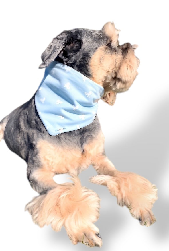 The Duchess Dog Bandana & The Duke Bow Tie