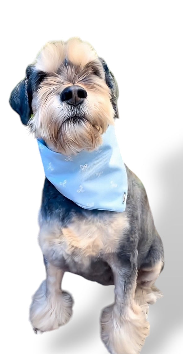 The Duchess Dog Bandana & The Duke Bow Tie