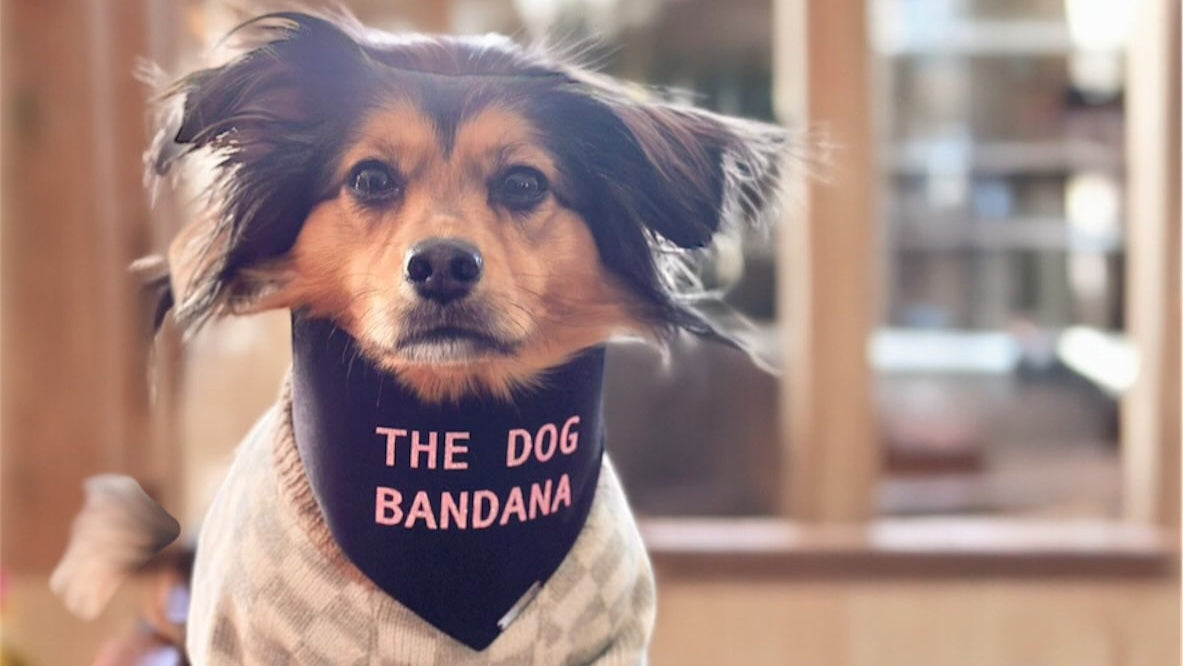 The Dog Bandana