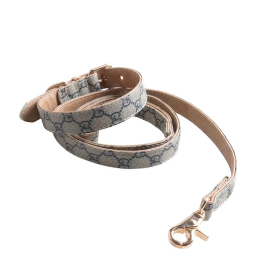PUCCI Leather Collar & Leash