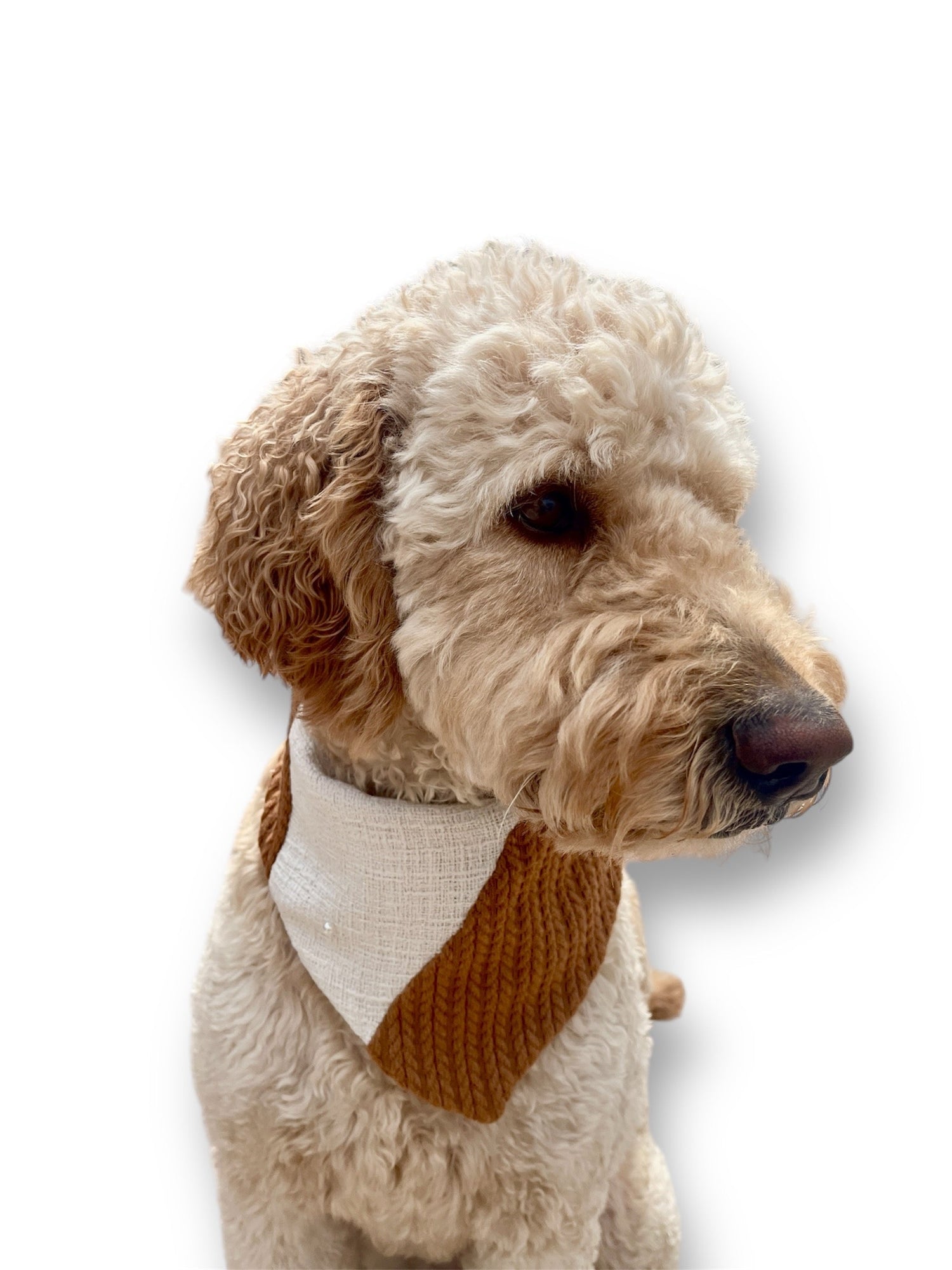 Dog Bandanas