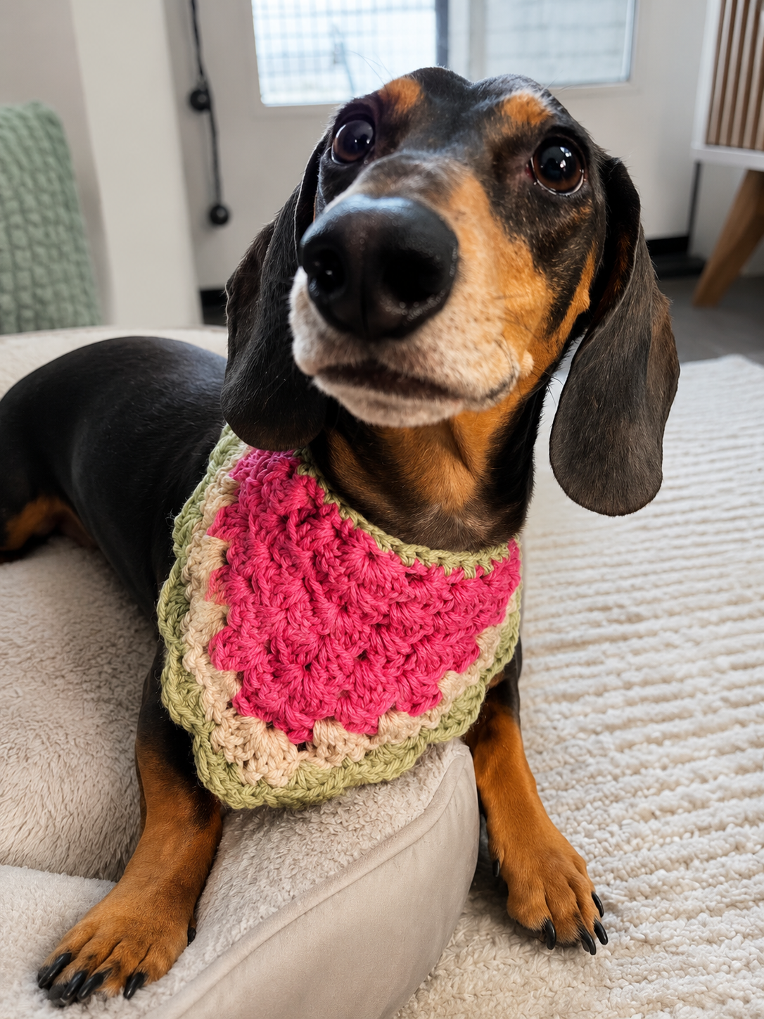 Watermelon Sugar Crochet Bandana