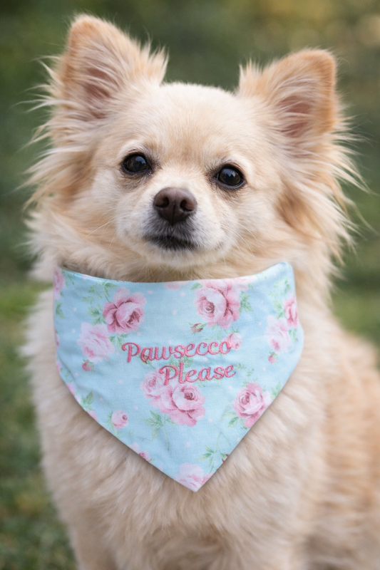 Pawsecco, Please Dog Bandana