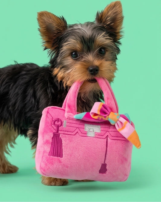 Barkin Bag - Pink w/ Scarf Squeaker Dog Toy