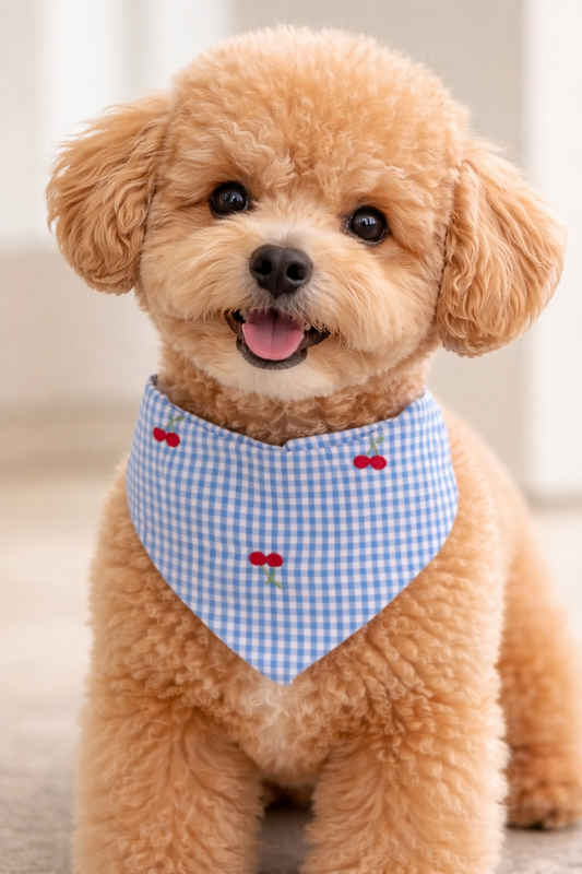 Cherry Étoile Dog Bandana