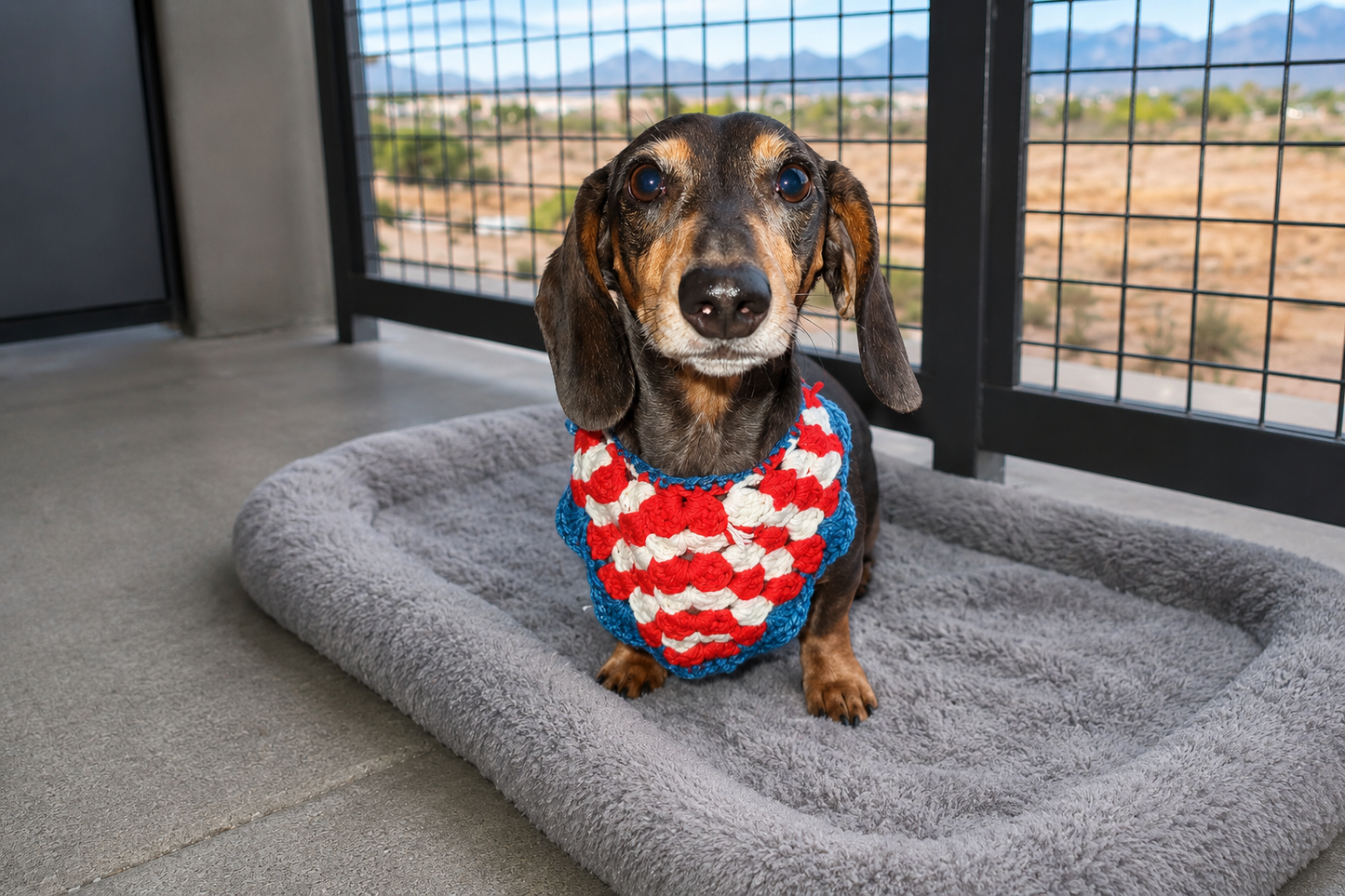🇺🇸 Summer Anthem Handmade Crochet Dog Bandana