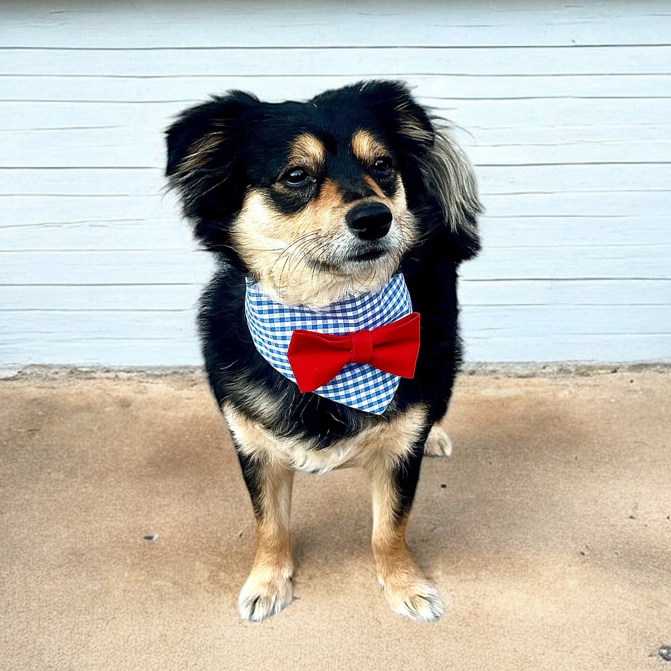 Gingham Glory Bandana