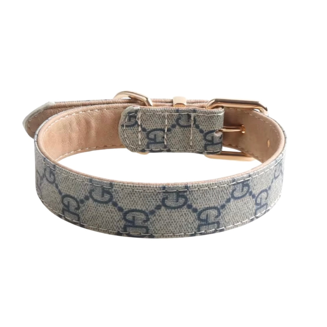 PUCCI Leather Collar & Leash