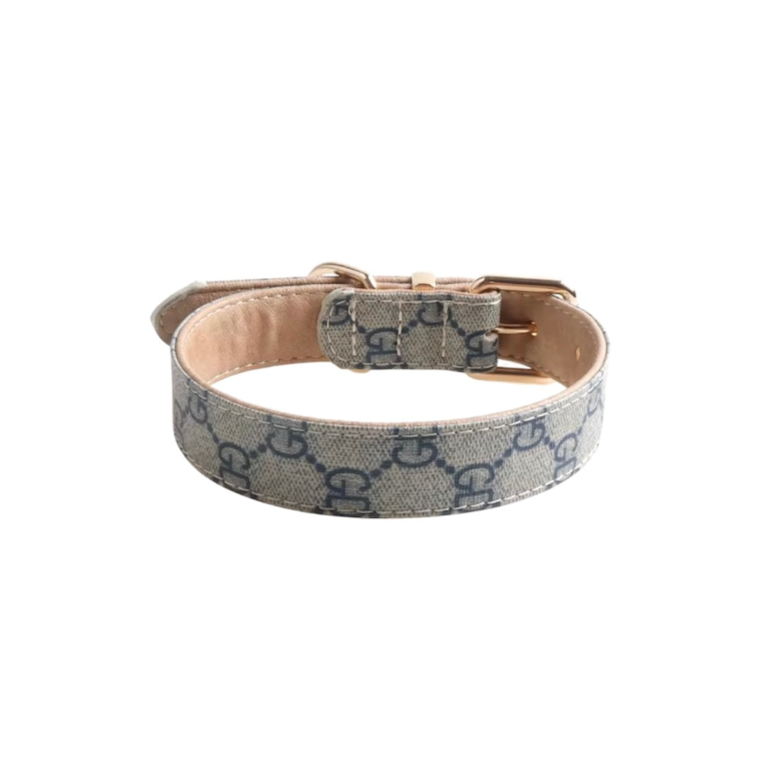 PUCCI Leather Collar & Leash